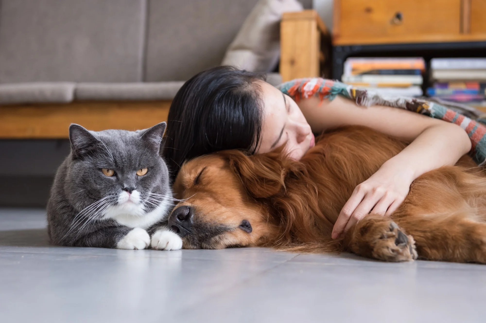 Happy dog and owner