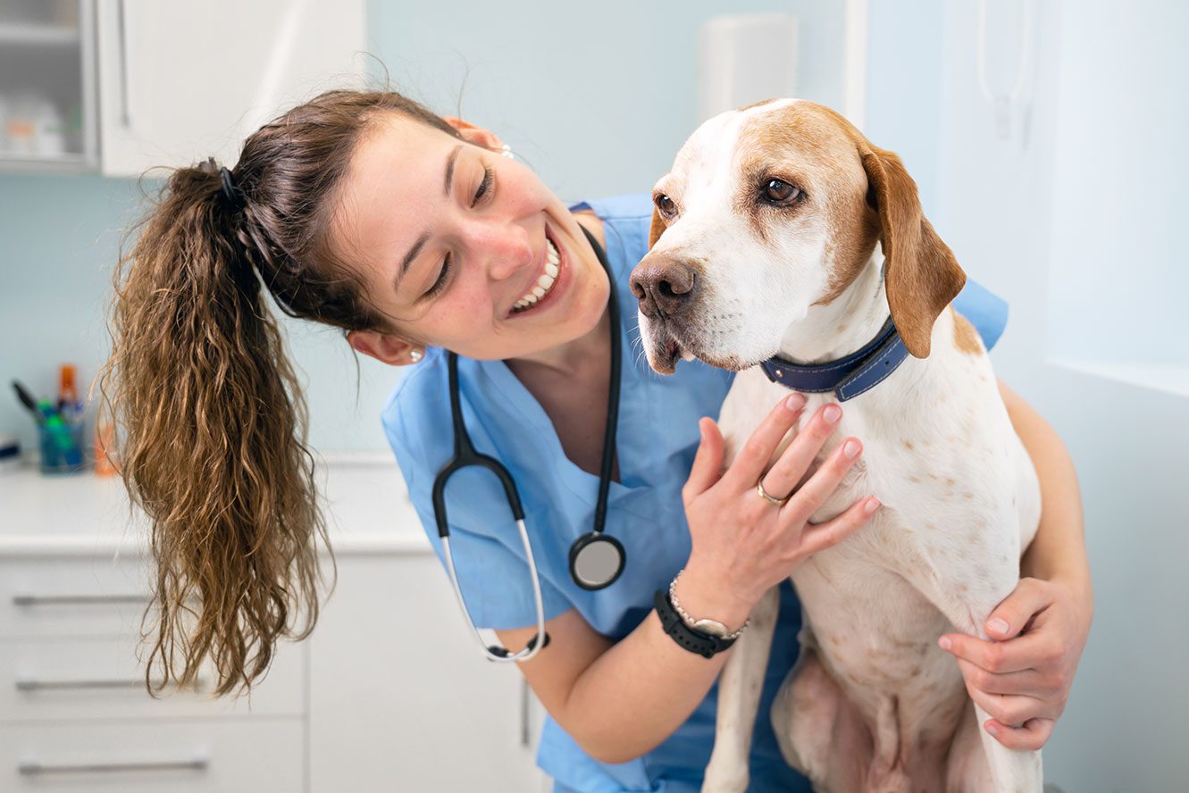 Veterinarian Profile