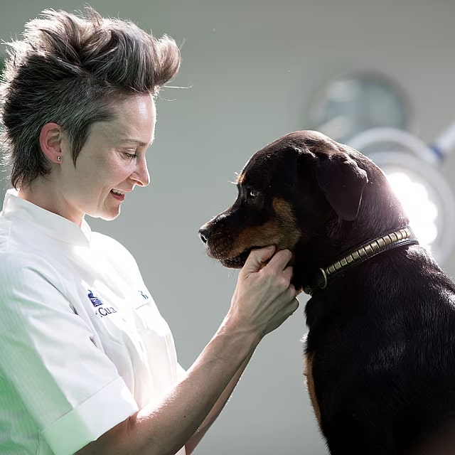 Veterinarian Profile