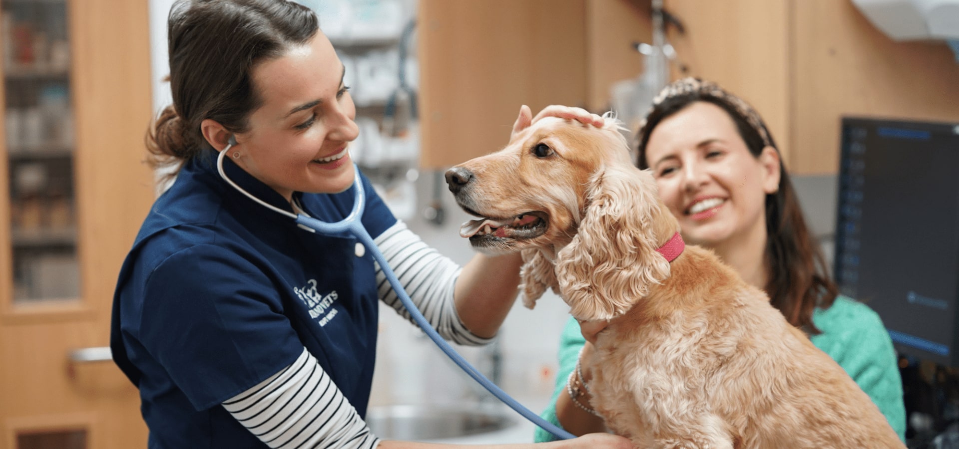 Veterinarian Profile