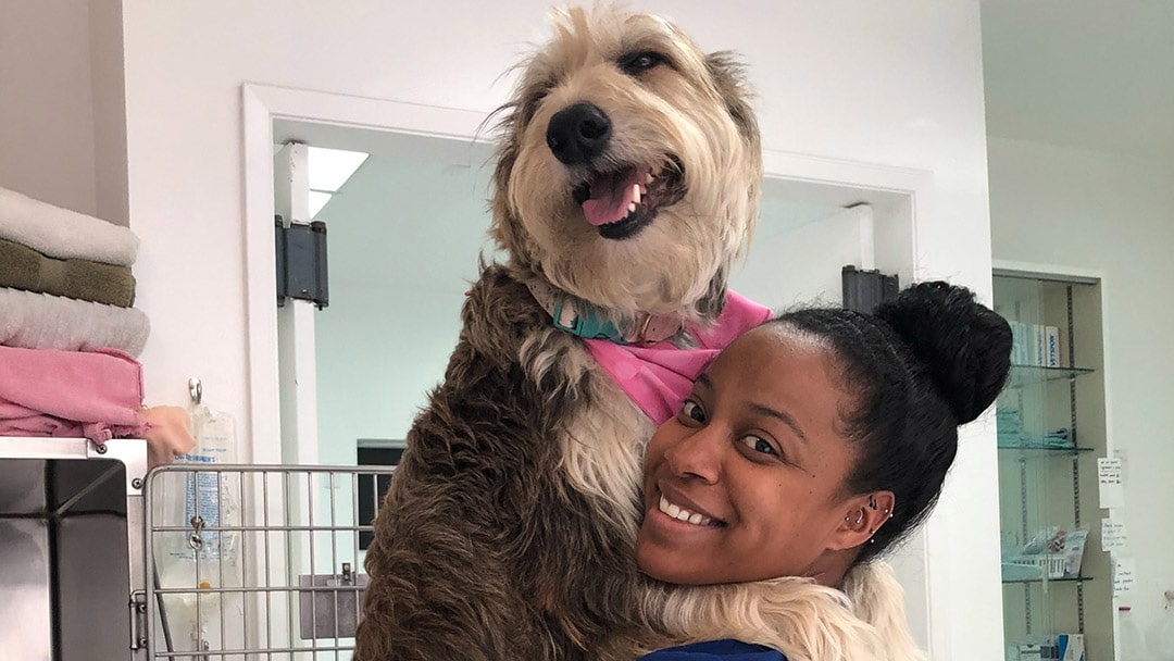 Veterinarian Profile
