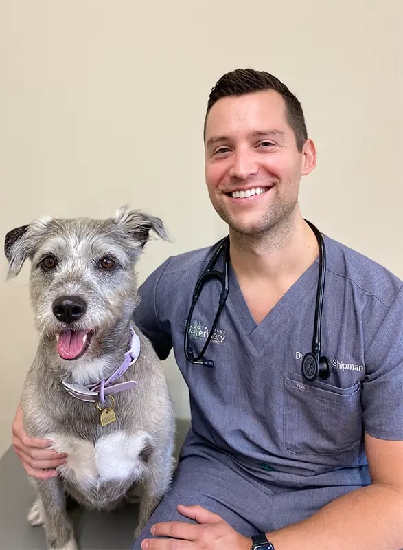Veterinarian Profile