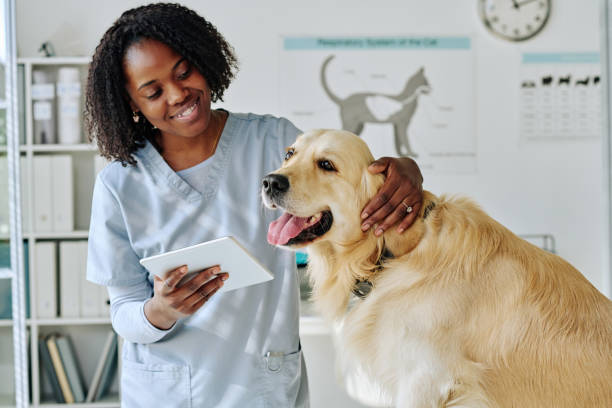 Veterinarian Profile