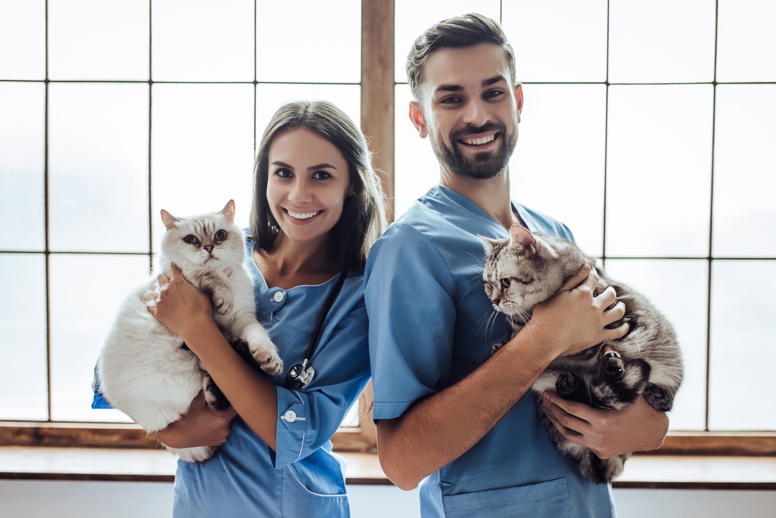Veterinarian Profile
